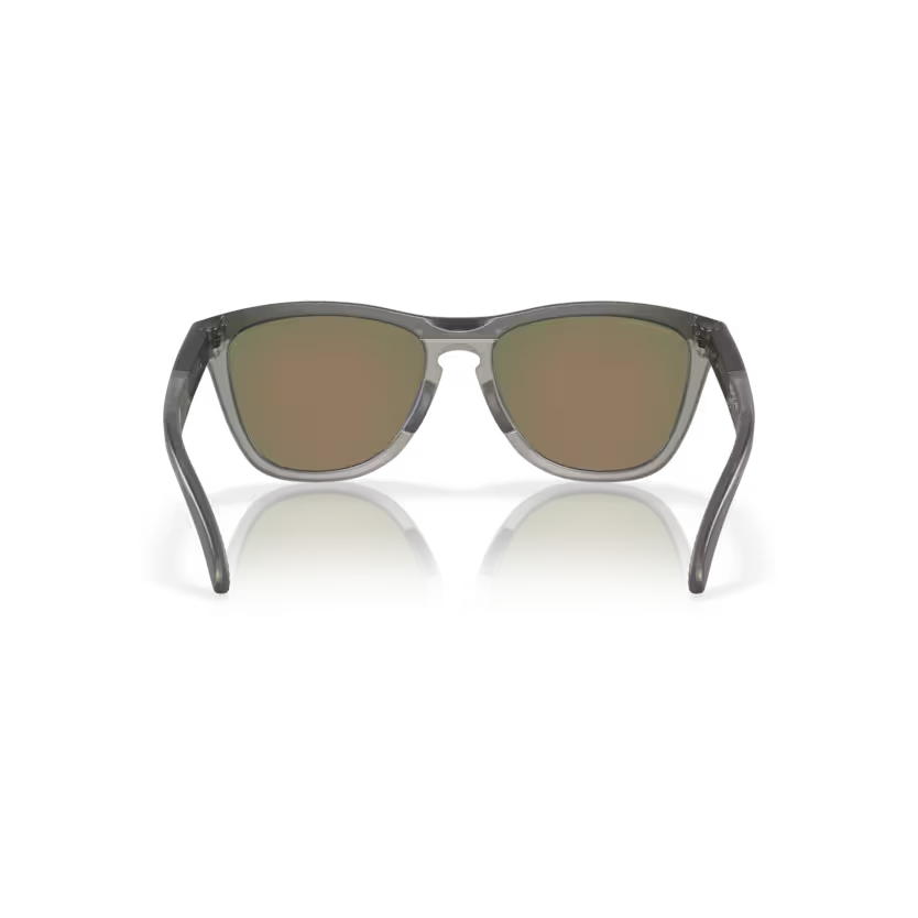 Back view of oakley frogskins range #color_ blue steel