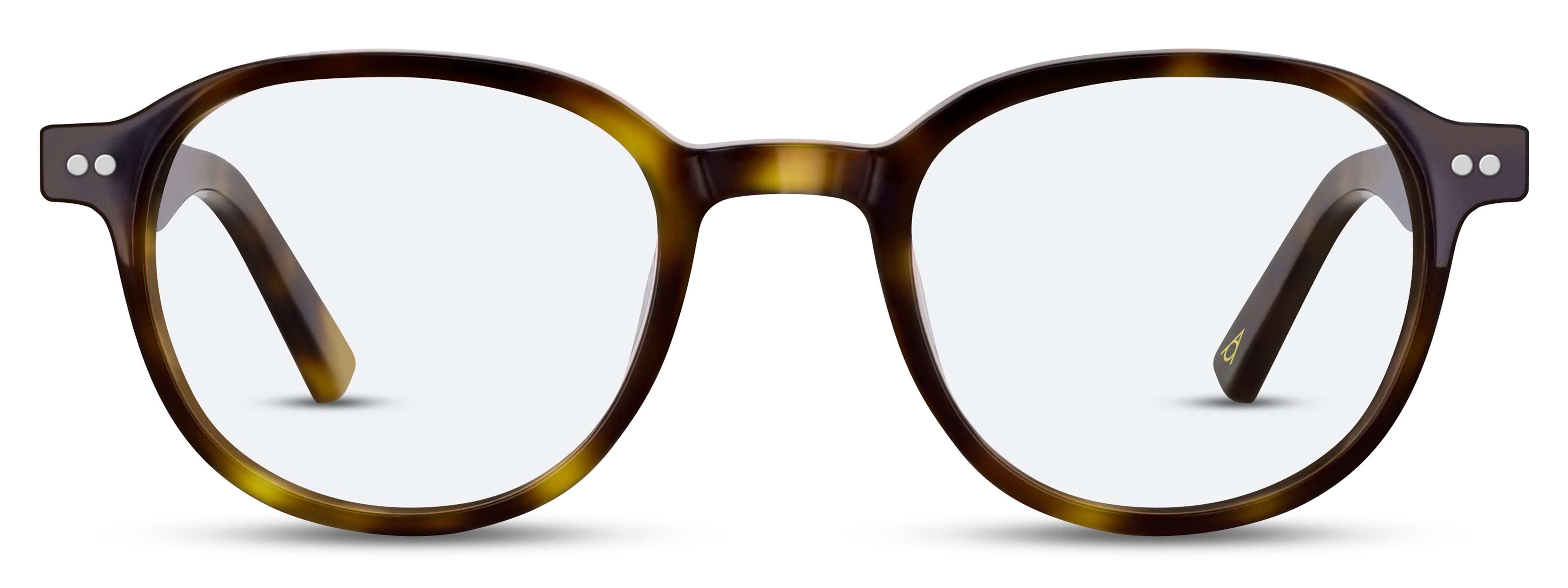Front view of Arhlo frame ARH016#color_C1 Polished Tortoiseshell