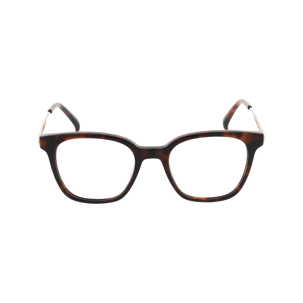 Front view of DT Manan 1#color_brown gold