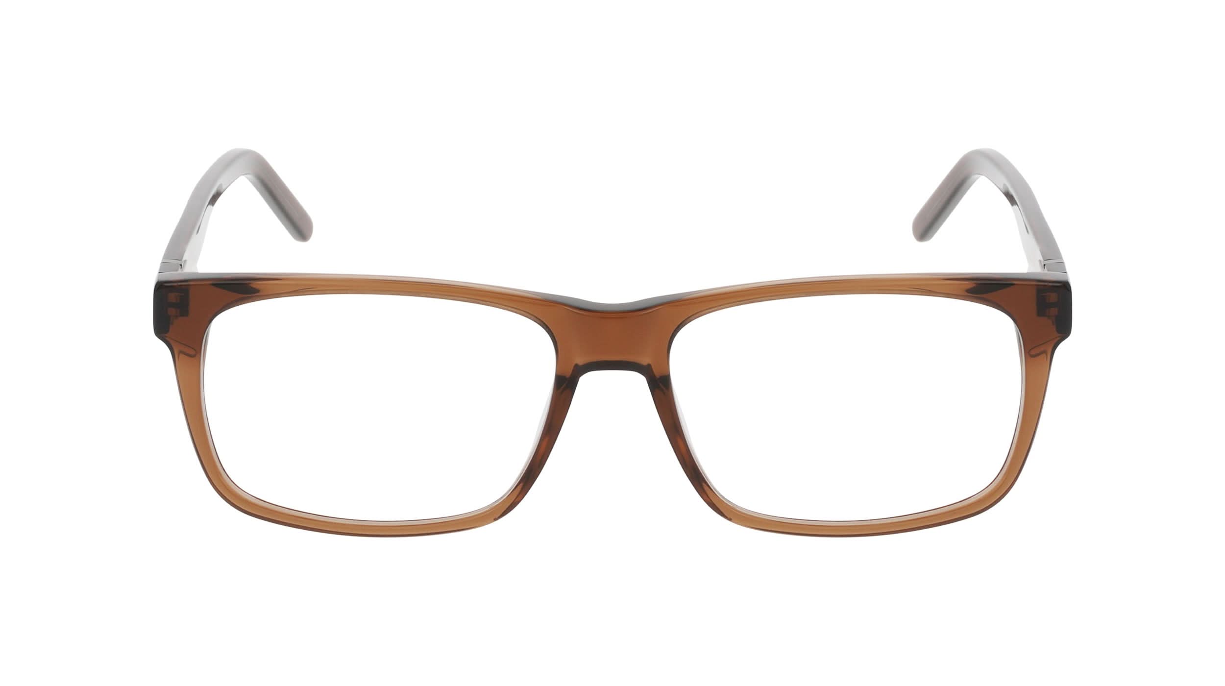 Front view of DT Wilde 1#color_transparent brown