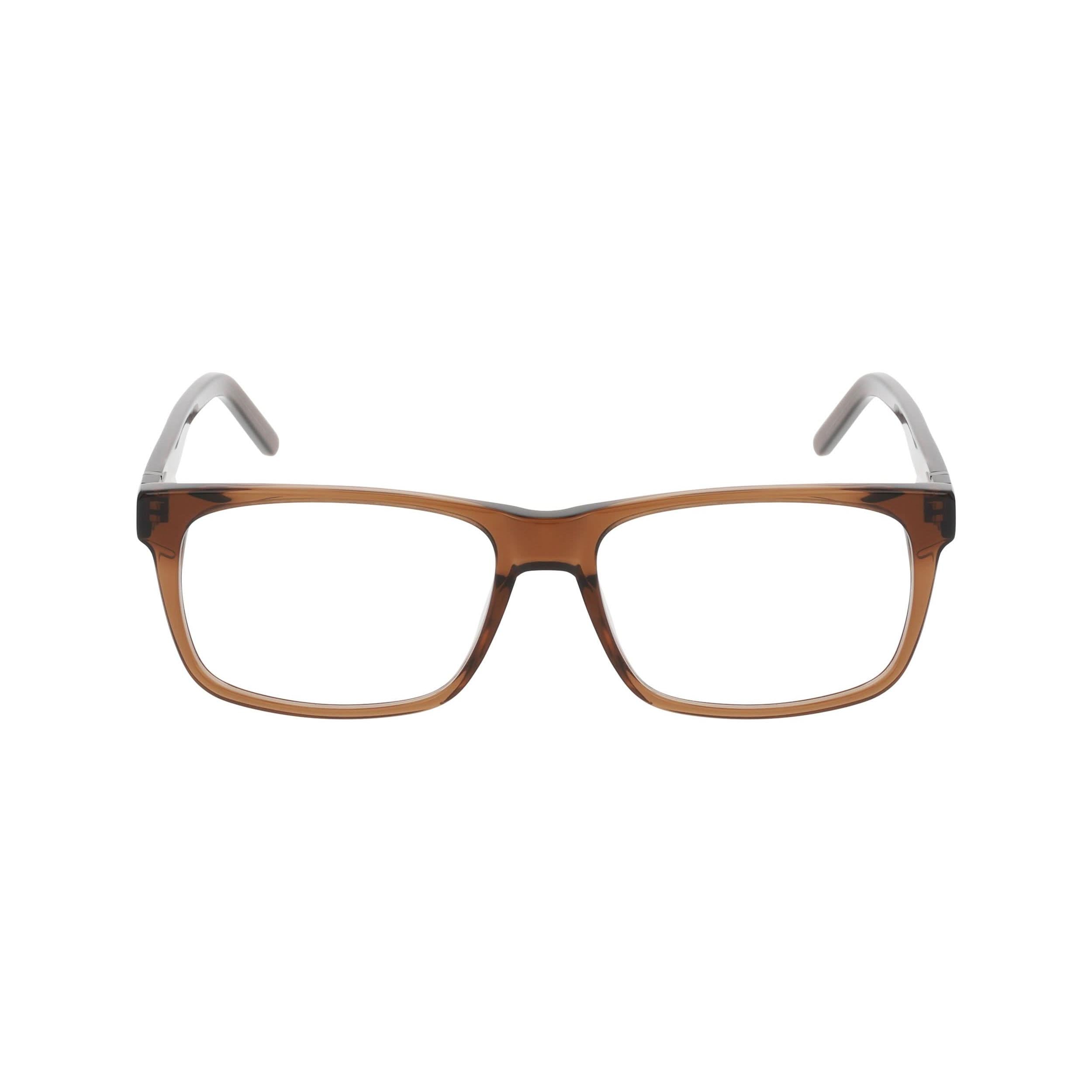Front view of DT Wilde 1#color_transparent brown