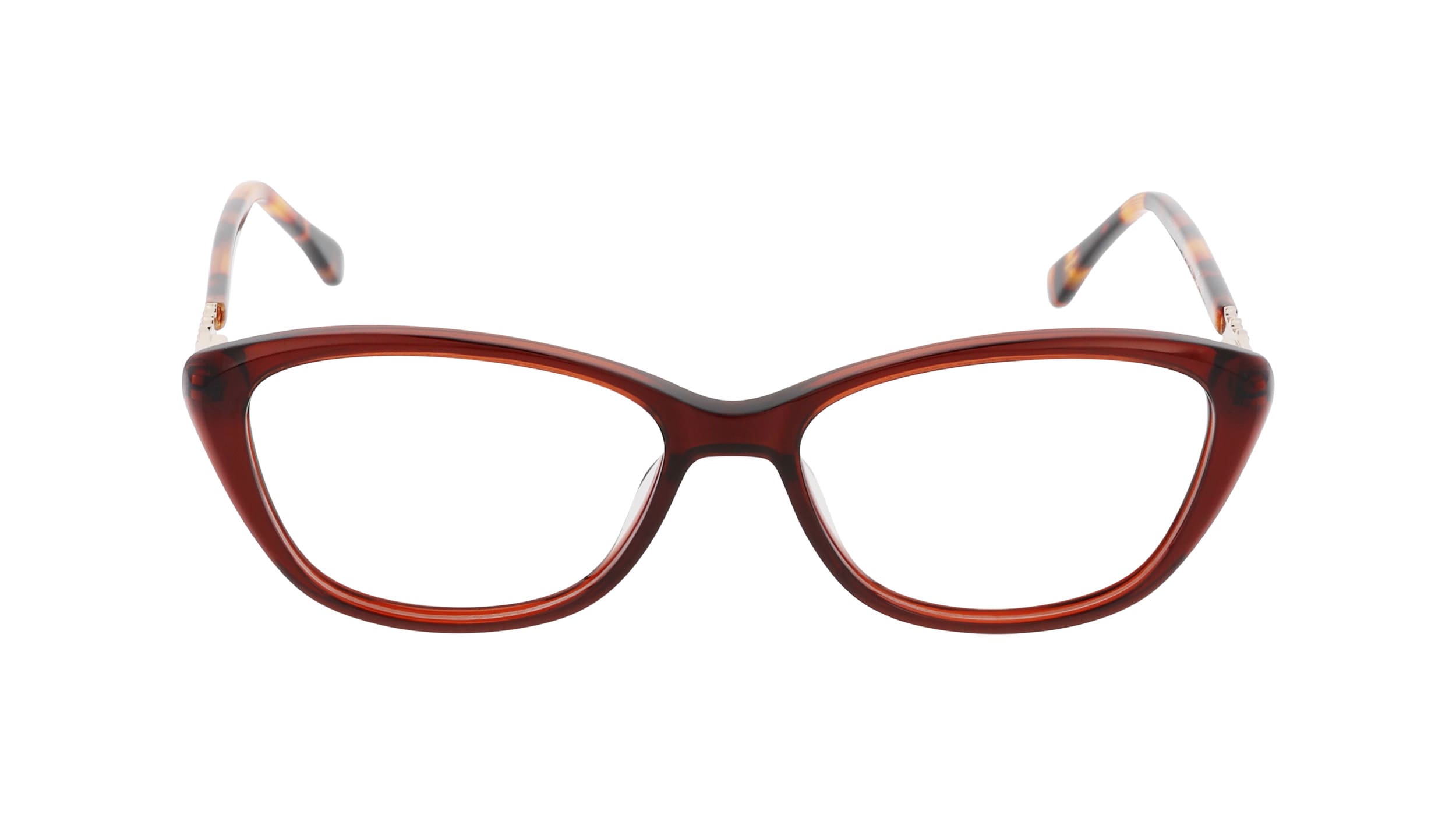 Front view of Duncan and Todd frame ID3135316C2brown#color_brown