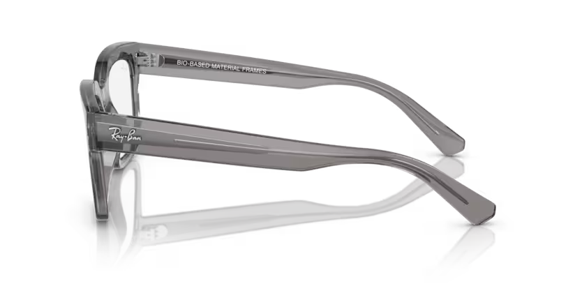 Left view of rayban chad optics frame #color_transparent grey