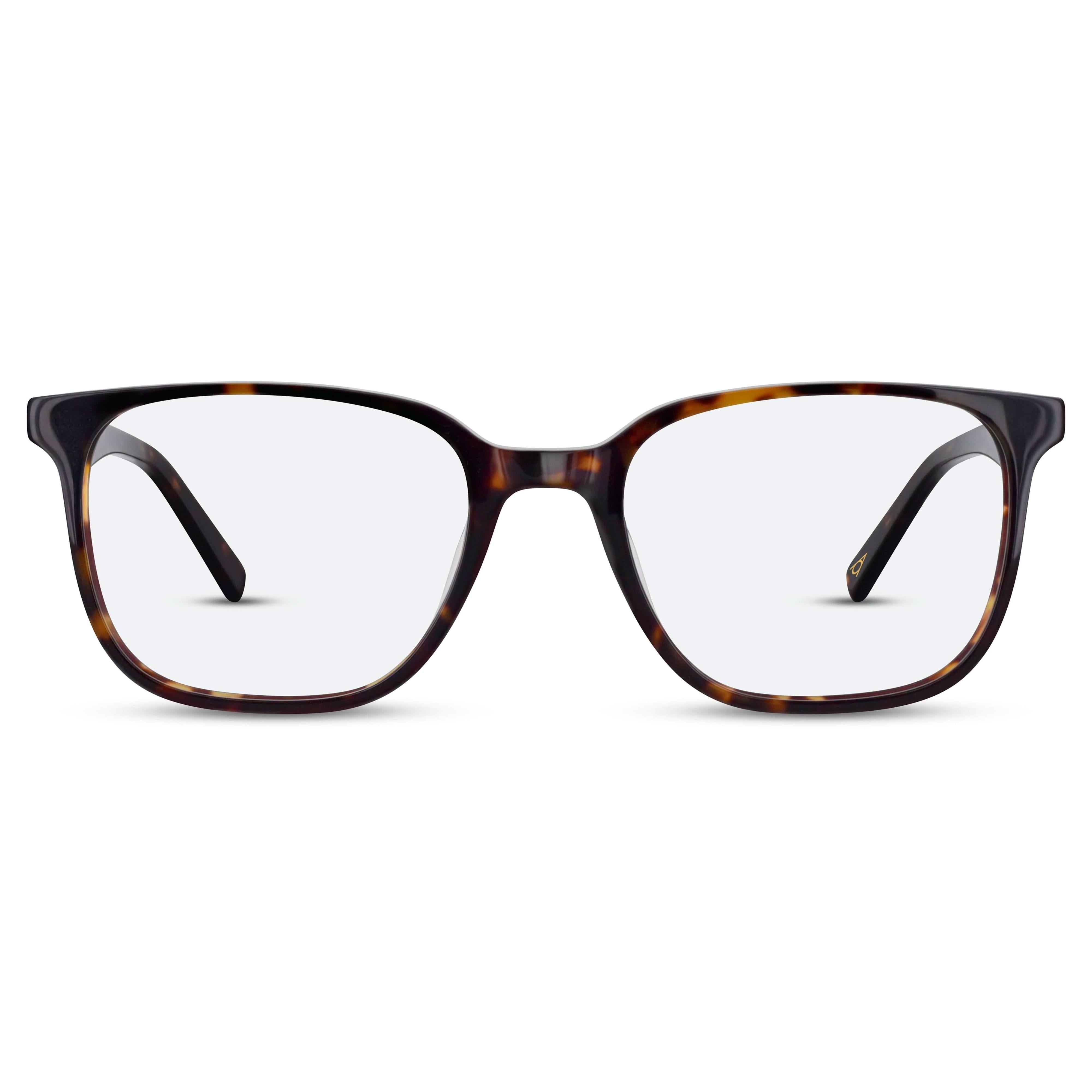 Front view of Arhlo frame ARH010#color_C1 Polished Tortoiseshell