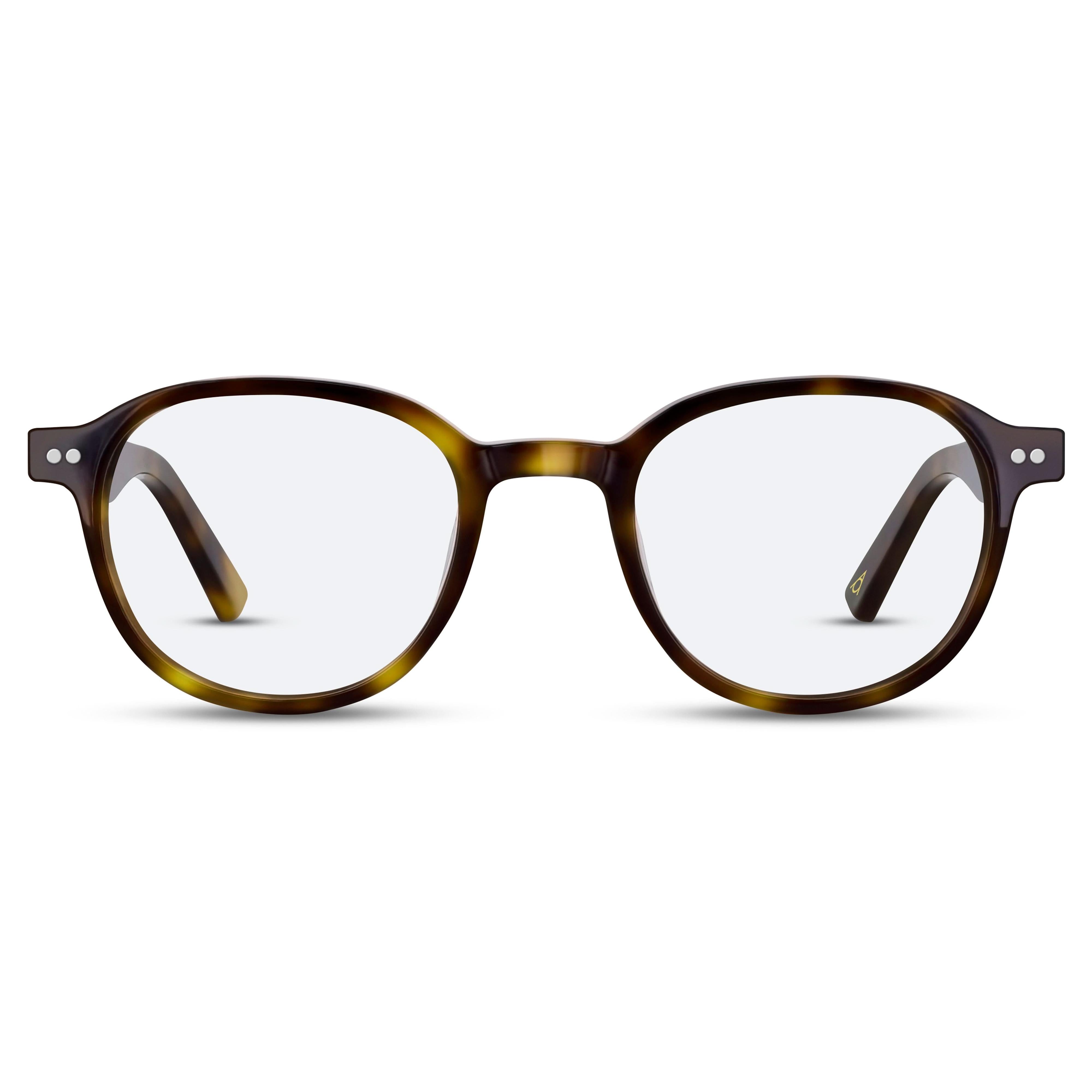 Front view of Arhlo frame ARH016#color_C1 Polished Tortoiseshell
