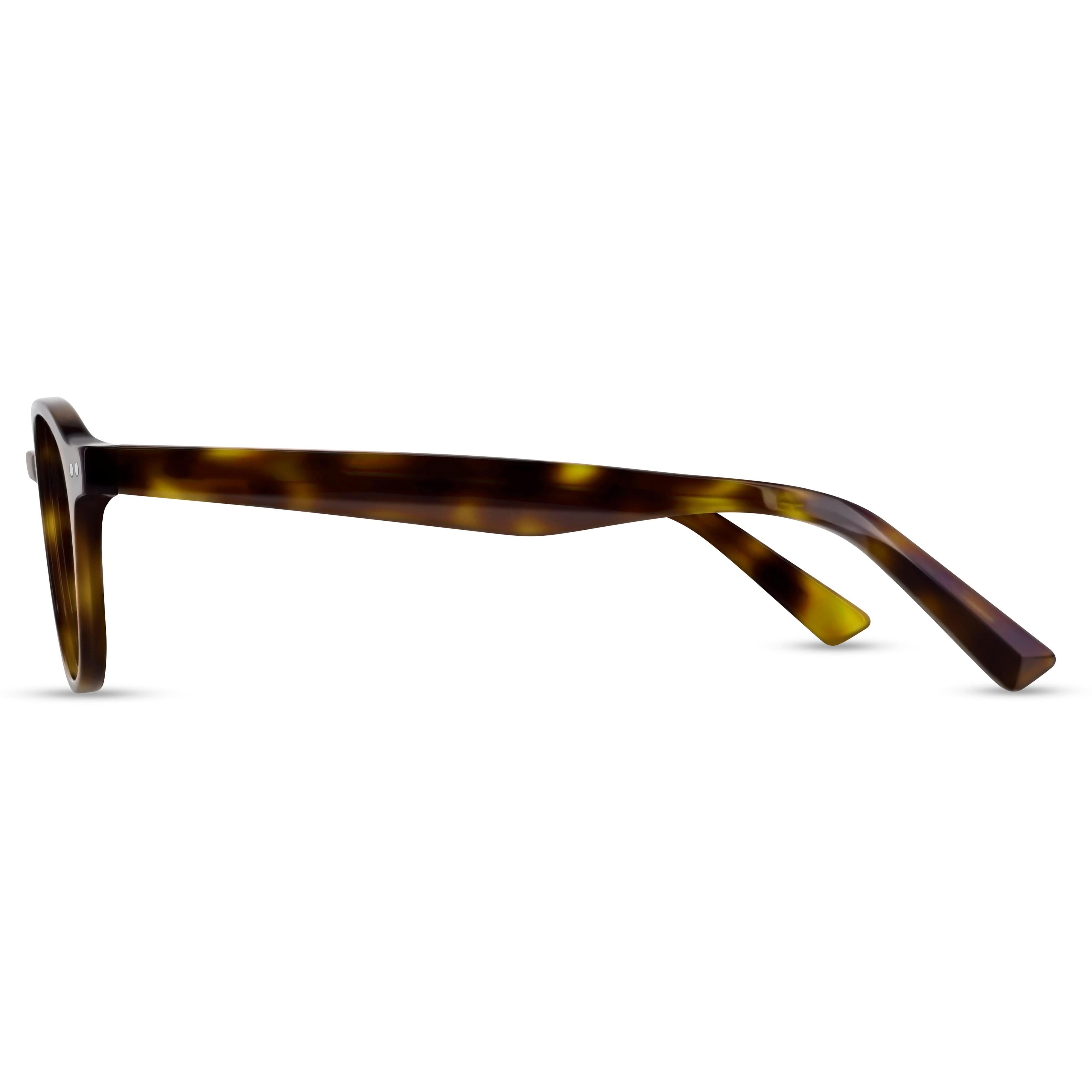 Angled view of Arhlo frame ARH016#color_C1 Polished Tortoiseshell