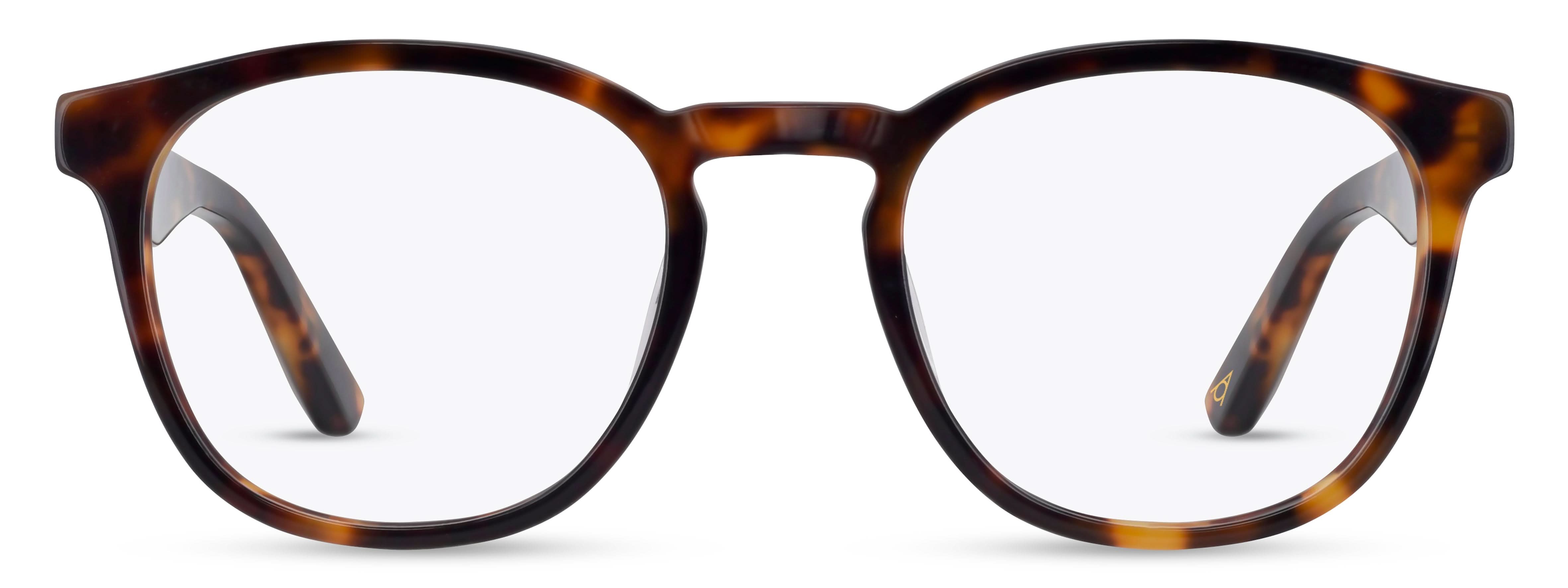 Front view of Arhlo frame ARH024#color_C1 Tortoiseshell