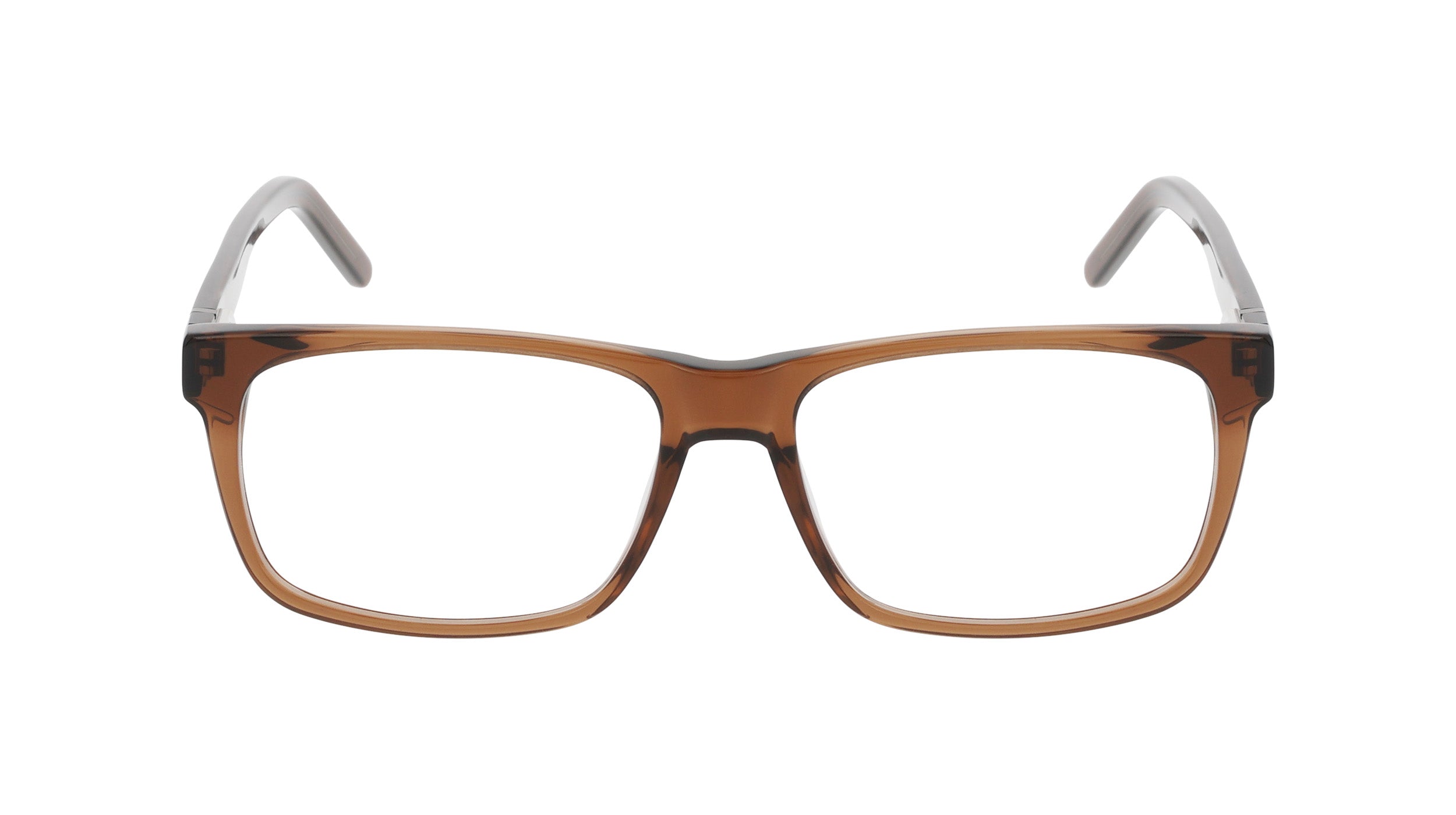 Front view of DT Wilde 1#color_transparent brown