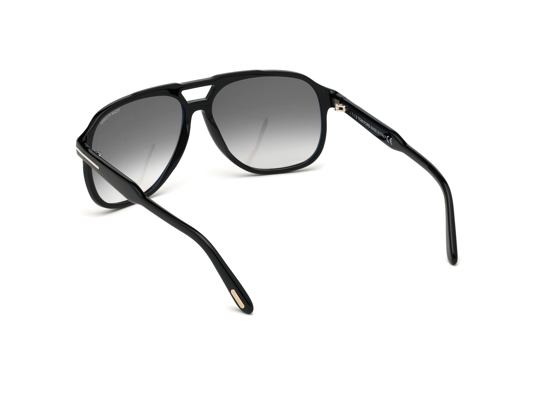 Back Side View of Tom Ford Raoul 1#color_Back